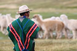 Un mandriano boliviano con il suo gregge nelle campagne vicino a Oruro.
