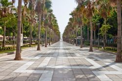 Un parco di Almeria, Spagna. La bella cittadina del sud spagnolo ospita non solo architetture di impronta araba ma anche grandi spazi verdi 