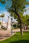Un parco nella cittadina di Palo del Colle in Puglia. - © lovefranco / Shutterstock.com