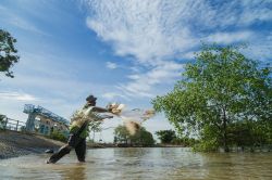 Un pescatore di un villaggio nel Kedah getta la  sua rete da pesca - © Mohd Razz Rozzfaisal / Shutterstock.com