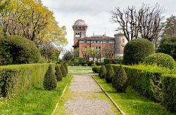 Un suggestivo scorcio del giardino di Villa Toeplitz a Varese, Lombardia. Qui si possono ammirare conifere arboree di diverse specie.
