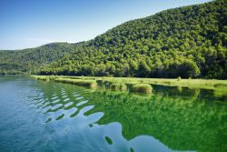 Un tratto del fiume Krka nella città di Skradin, Croazia: con un percorso di 73 km, la Cherca è uno dei corsi d'acqua più lunghi della Dalmazia.

