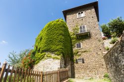 Un tratto delle mura di Montefioralle, Greve in Chianti, ricoperte di edera e un torrione del borgo medievale.
