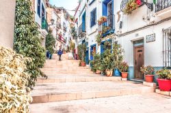 Un vicoletto del centro storico di Alicante, Costa Blanca, Spagna - © Veja / Shutterstock.com