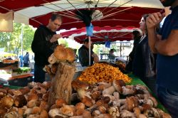 Una bancarella del mercato di Aix-en-Provence durante un sabato mattina d'autunno.