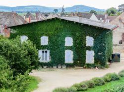 Una casa ricoperta d'edera nel villaggio di Meursault in Borgogna, Francia orientale