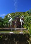Una fontana nei giardini di Romney Manor a Basseterre, St. Kitts and Nevis, Indie Occidentali - © ATGImages / Shutterstock.com