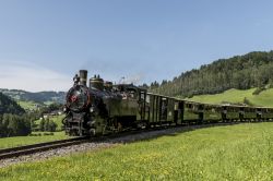 Una locomotiva a vapore della Bregenzerwaldbahn, tra le montagne dela Bregenzerwald, in  Austria. - © Daan Kloeg / Shutterstock.com