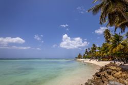 Una spiaggia a Tobago, isola caraibica dell'America Centrale. In questo paradiso immerso nella natura incontaminata ci si può rilassare con vista sulla stupenda barriera corallina. 

 ...