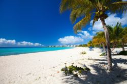 Una splendida spiaggia dei Caraibi sull'isola di Anguilla. E' la più settentrionale delle Isole Sottovento britanniche: i suoi 91 km quadrati sono popolati da pochi abitanti dal ...