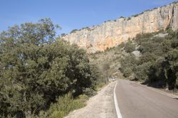 Una strada attraversa un canyon vicino a Nuevalos, Spagna, costeggiando la fitta vegetazione.

