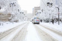 Una strada del centro di Winnipeg coperta dalla neve, Manitoba (Canada) - © Thamyris Salgueiro / Shutterstock.com