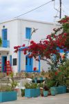 Una tradizionale abitazione di Tilos, Grecia. La facciata di questa graziosa casetta è impreziosita da porte e finestre azzurre e dai fiori profumati della bouganville.



