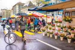 Uno dei mercati di strada di Ginevra, Svizzera. Anche con una giornata di pioggia passeggiare fra le bancarelle degli street market cittadini è un'esperienza piacevole - © BigGabig ...