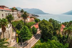 Uno scorcio della città vecchia di Herceg Novi, Montenegro. Con le sue antiche mura, le piazze assolate e l'atmosfera vivace, questa località a poche decine di chilometri da ...