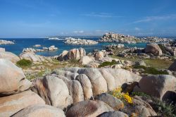 Uno scorcio panoramico dall'isola di Lavezzi, Corsica: formazioni rocciose, natura e mare blu.
