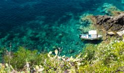 Ustica è il paradiso dello snorkeling e delle immersioni nel Tirreno meridionale, al largo della Sicilia