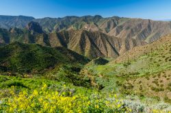 La lussureggiante valle nei pressi di Agulo, nel nord dell'isola di La Gomera (Canarie, Spagna).

