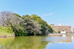 Veduta dell'ingresso al Parco Maizuru di Fukuoka, Giappone. Costruito attorno alle rovine del castello di Fukuoka, questo grande parco si trova a soli 15 minuti da Tenjin, centro della città ...