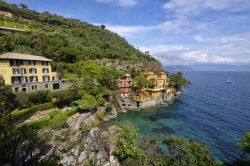Veduta di un tratto costiero di Portofino, Genova, Liguria. La città è situata nella parte occidentale del Golfo del Tigullio. 


