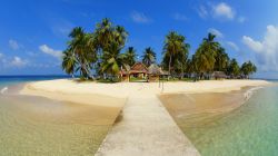 Veduta panoramica dell'isola di Aguja, arcipelago Las Perlas, Panama. Sabbia finissima e acqua turchese per quest'isolotto a circa due ore di traghetto da Panama City - © Alejo ...