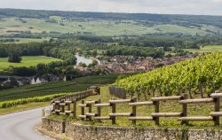 Vigneti di Moet et Chandon nei pressi di Hautvillers, Epernay, Francia - © Daan Kloeg / Shutterstock.com