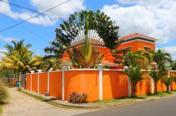 Villaggio di Flic en Flac, isola di Mauritius - Una tipica stradina con palme nel borgo peschereccio di Mauritius © Kletr / Shutterstock.com 