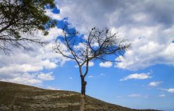 Vsita alla Riserva Naturale Orientata di Cavagrande del Cassibile in Sicilia