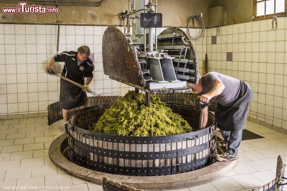 Immagine Pigiatura dell'uva con una vecchia pressa nel villaggio di Hautvillers, vicino a Reims e Epernay, regione dello Champagne (Francia) - © Daan Kloeg / Shutterstock.com