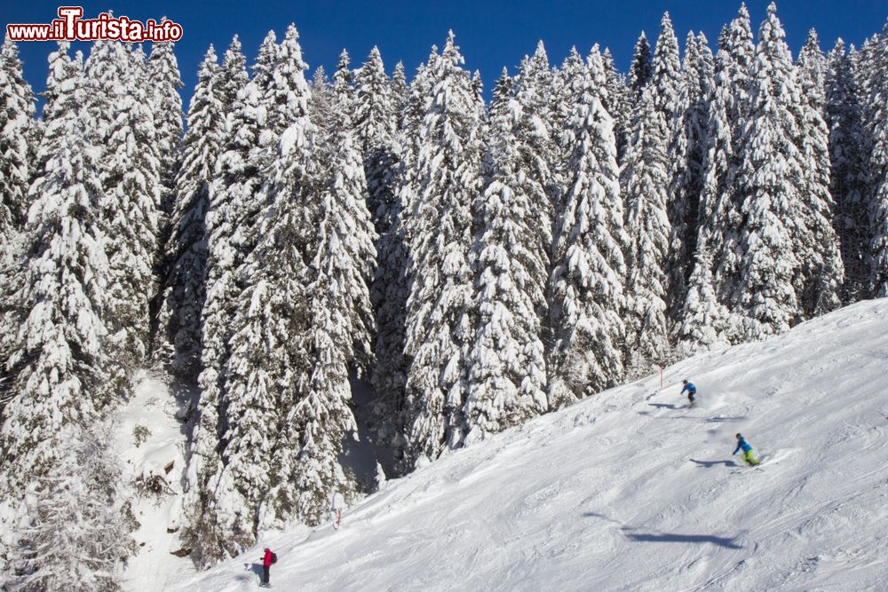 Immagine Pini innevati nello ski resort di Nassfeld, Austria.