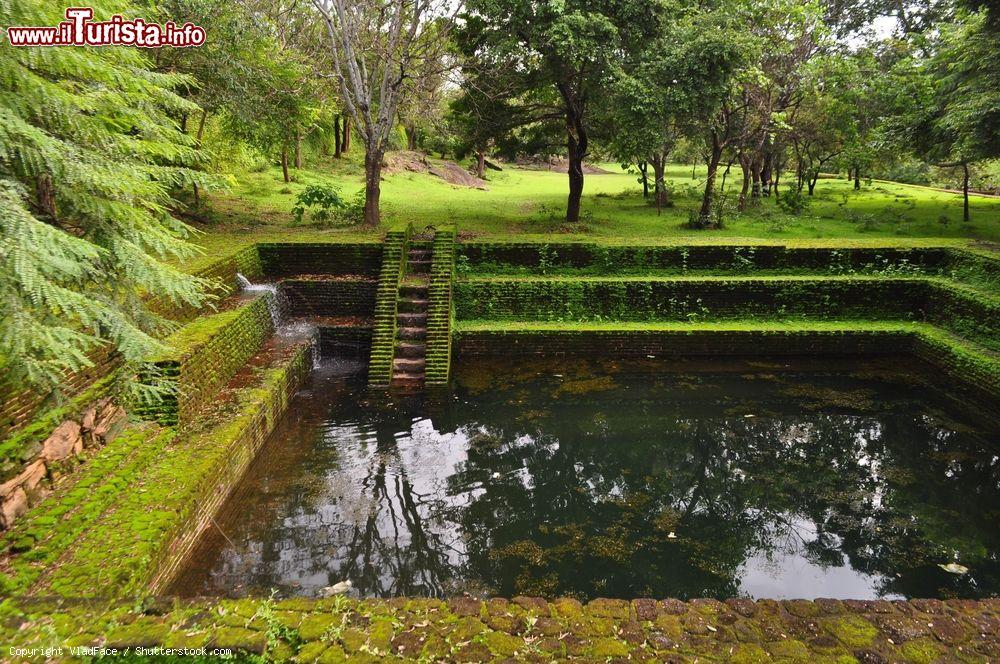 Immagine Una piscina coperta di muschio nell'antica Polonnaruwa, Sri Lanka - © VladFace / Shutterstock.com