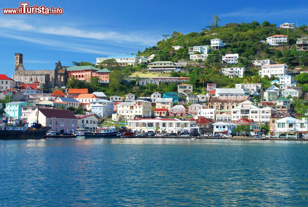Immagine Una pittoresca veduta della capitale di Grenada, St.George's, con le sue case immerse nella  lussureggiante vegetazione dei Caraibi.