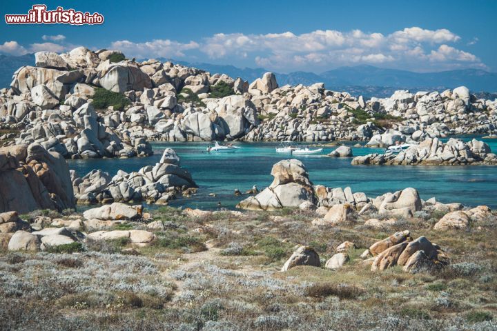 Immagine Un pittoresco scorcio dell'isola di Lavezzi, Corsica. Situata a 4 chilometri dal porto di Bonifacio, quest'isola è raggiungibile via barca con escursioni che partono la mattina e permettono di rientrare la sera.