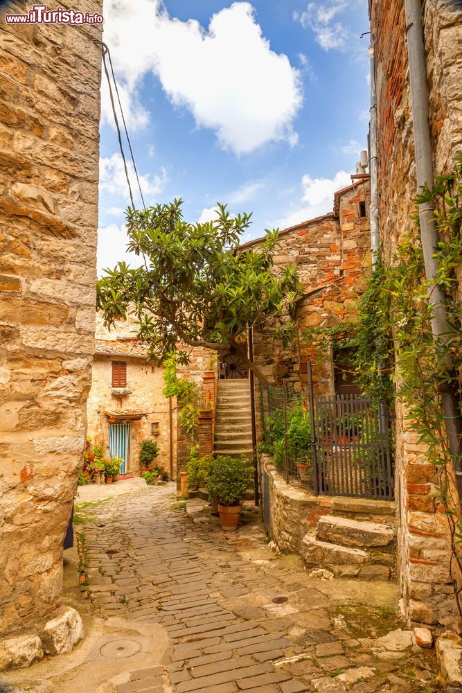 Immagine Un pittoresco vicolo nel centro storico di Montefioralle, provincia di Firenze, Toscana. Sui vicoli in pietra si affacciano case che si inerpicano per il borgo, vero e proprio gioiello immerso nel Chianti.