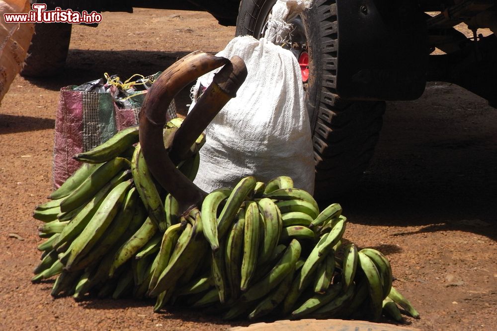 Immagine Platani (o banane verdi) lungo una strada di Yaoundé, Camerun. Queste banane da cottura sono ricche di amido.