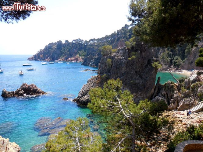 Immagine Platja Golfet, come suggerisce il nome, si trova protetta dai promontori che creano un piccolo golfo in questo tratto di Costa Brava, press Calella de Palafrugell.