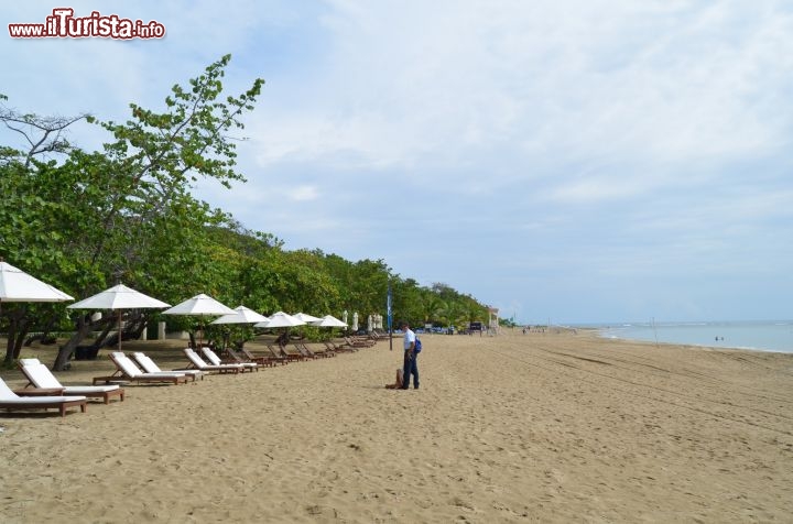 Immagine Playa dorada, dintorni di Puerto Plata, Repubblica Dominicana - 