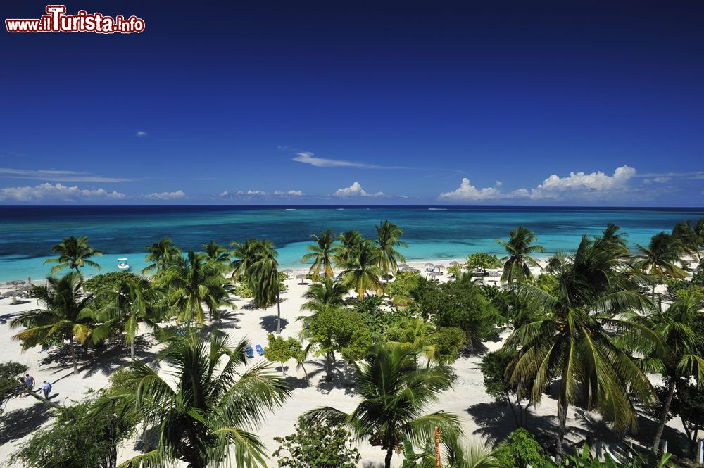 Immagine Playa Guardalavaca a Holguin, Cuba. Alle spalle di questa spiaggia si trova una vasta area di vegetazione lussureggiante. A fare da cornice le acque turchesi del Mare dei Caraibi.