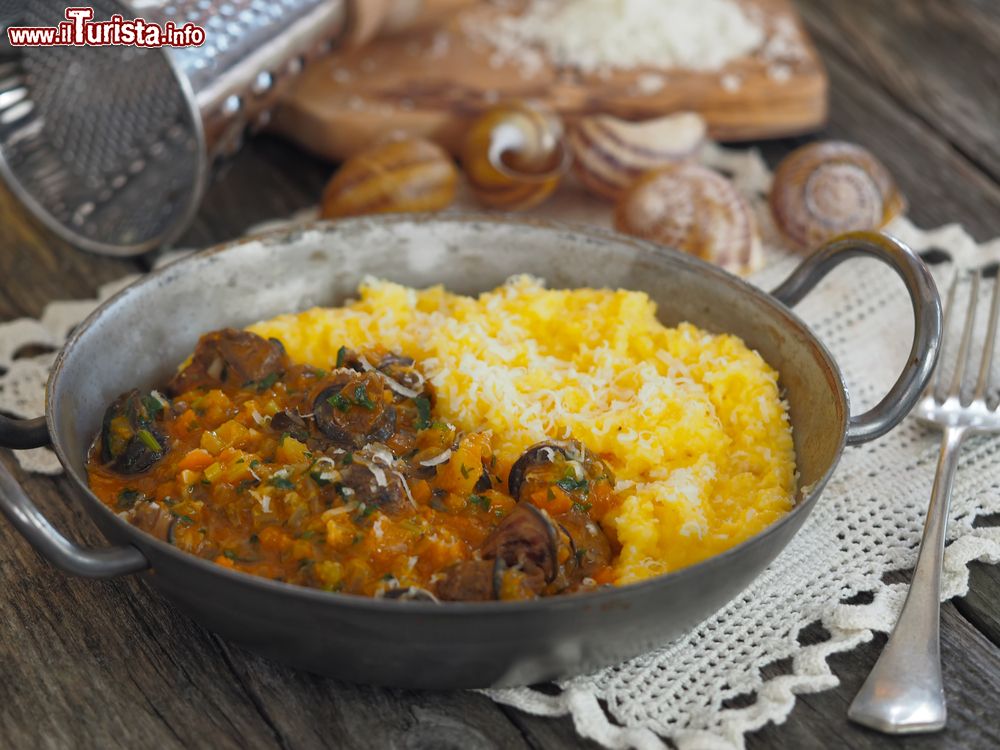 Immagine Polenta e lumache: il piatto tipoco di Quero Vas è la "polenta e s’cios", festeggiato nell'omonima sagra.