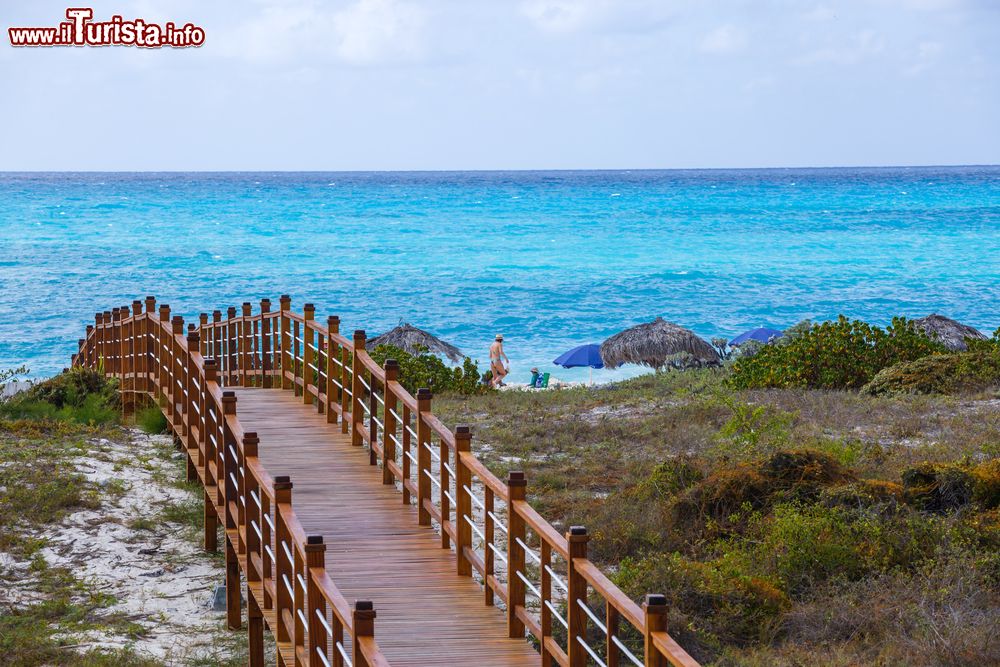 Immagine Ponte in legno e mare turchese a Cayo Largo, Cuba. Quest'isola è una delle 300 che costituisce l'arcipelago de Los Canarreos. Siamo a 180 km a sud di L'Avana.