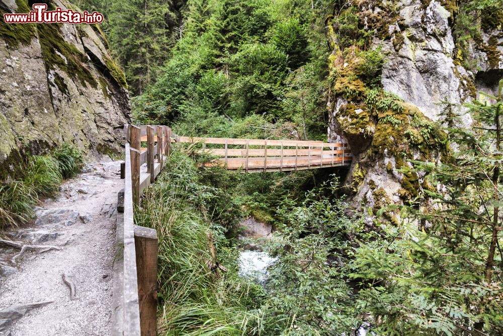 Immagine Ponte sul sentiero verso le cascate di Stanghe in Val Ridanna