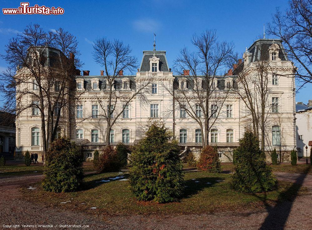 Immagine Potocki Palace a Lviv, Ucraina, in una bella giornata di sole. E' considerato uno dei più famosi palazzi della cittadina ucraina: fu costruito nel 1880 e da allora ha modificato più volte la sua destinazione d'uso. Questo edificio di tre piani è stato realizzato in stile classico francese e si presenta con una facciata riccamente decorata e un attico lussuoso - © Yevhenii Kravchuk / Shutterstock.com