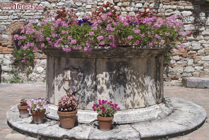 Immagine Un pozzo medievale con gerani nel borgo di Corciano - © Claudio Giovanni Colombo / Shutterstock.com