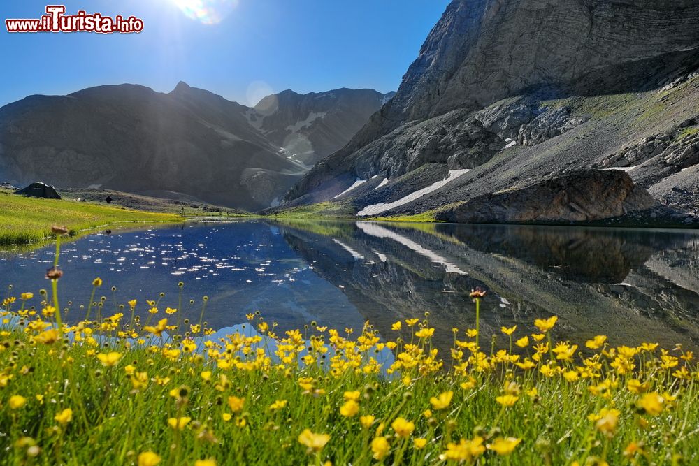 Immagine Prati fioriti nei pressi del lago Karagol, Nigde, Turchia. Durante la stagione primaverile il lago è circondato da fiori gialli e profumati.