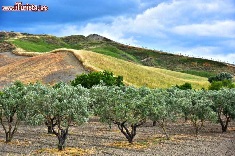 Immagine Provincia di Crotone, Calabria: un pittoresco panorama della campagna di questo angolo di territorio italiano.