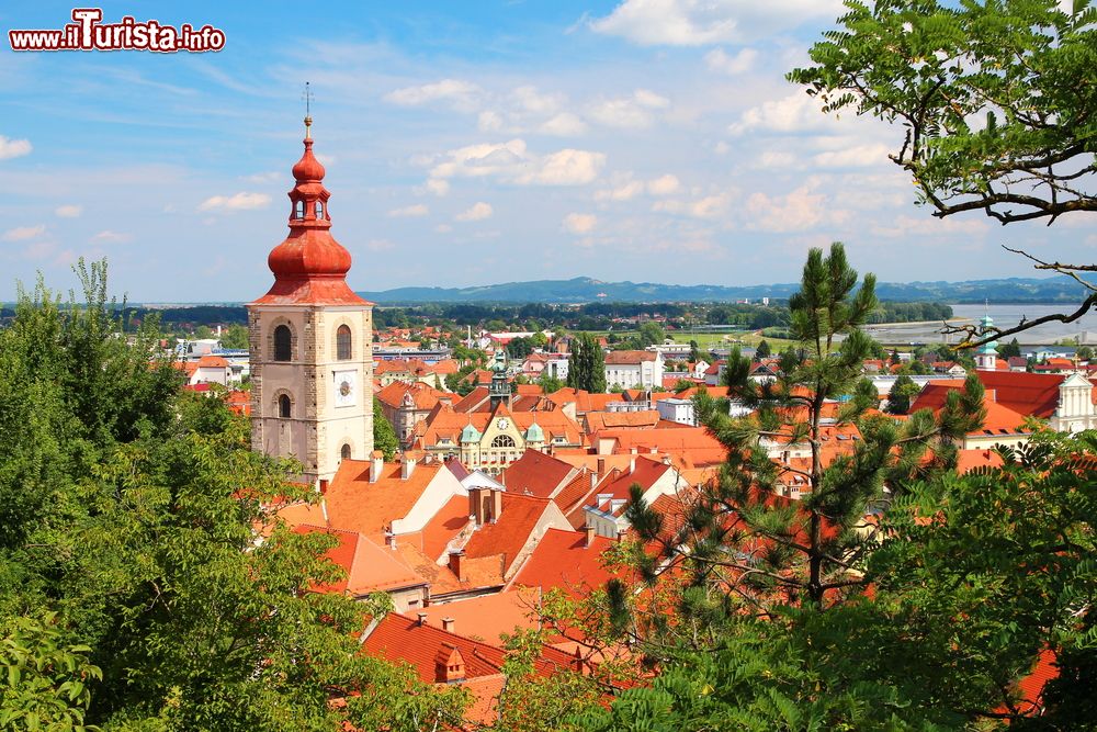 Immagine Ptuj, Slovenia, vista dall'alto. Il suo massimo sviluppo risale al periodo romano quando l'imperatore Traiano concesse lo status di città.