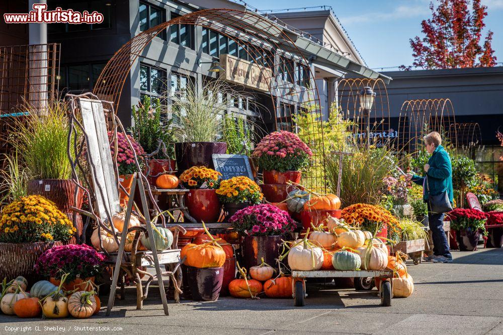 Immagine Ravenna Gardens Store allo University Village di Seattle, Washington - © CL Shebley / Shutterstock.com