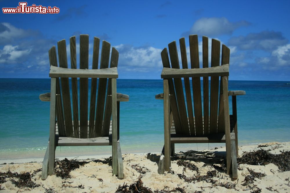 Immagine Relax in spiaggia a Denis Island, Seychelles: qui il panorama sull'Oceano Indiano è fra i più suggestivi.