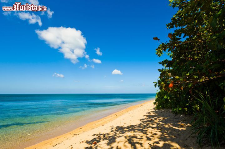 Immagine Relax in spiaggia a Koh Lanta, Thailandia - Perfetto per chi cerca una vacanza all'insegna della tranquillità, nell'arcipelago di Koh Lanta si ha davvero la sensazione di essere fuori dal mondo © Mart Koppel / Shutterstock.com