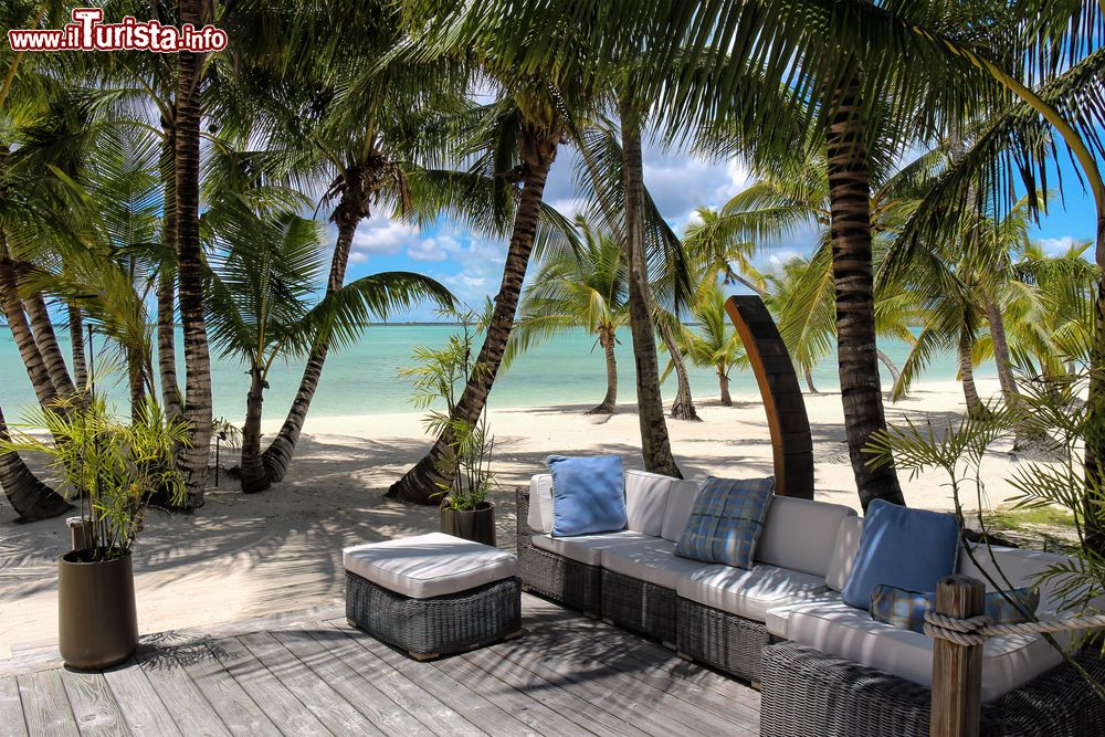 Immagine Un angolo di relax sulla spiaggia con palme alle Bahamas, Isola di Andros. Questo territorio è circondato da acque cristalline che si mantengono a una temperatura di 27 gradi centigradi tutto l'anno.